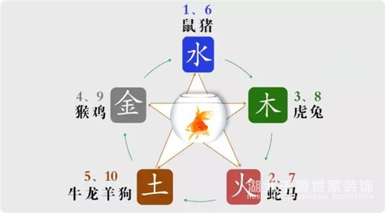 魚的顏色和數(shù)量