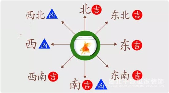 應(yīng)避免養(yǎng)魚的方向